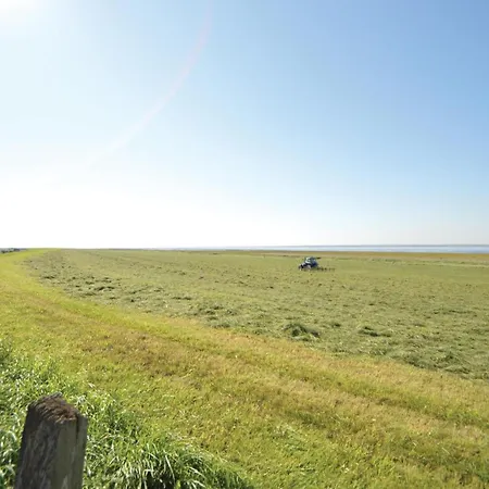 4 Bedroom Stunning In Ribe